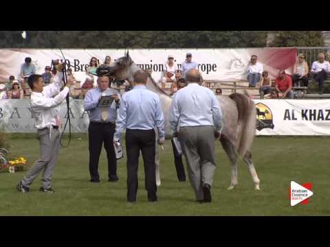 N.35 ELAN DE MARC K.A. - Chantilly 2015 ABCE - Fillies 3 years old (Class 3)