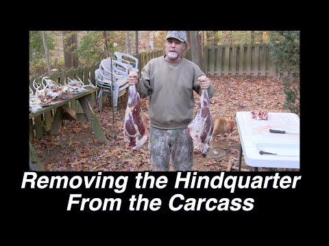 How to Remove a  Deer Hindquarter