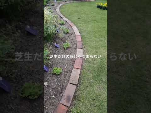 メンテナンス不要の花壇 - 最小限の労力で最大の効果を発揮  庭園