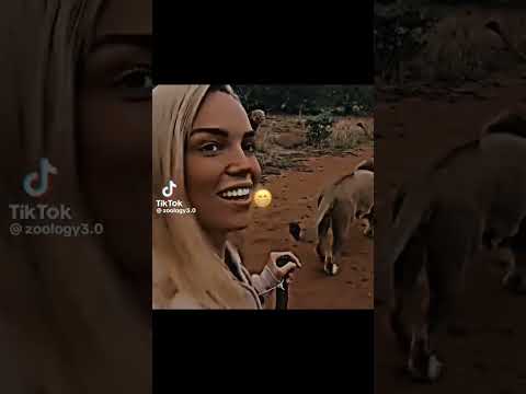 Mr T👹💀#lions #animals