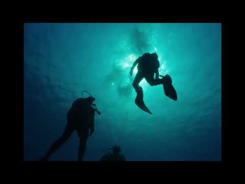 هدفنا نصنع فرق ونحقق رؤية