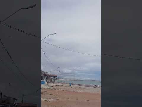 ponta do mel linda praia do  Rio Grande do Norte RN 🇧🇷 🇧🇷