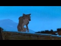 Balto The Journey Begins HD