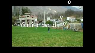 preview picture of video 'Prova volo Gaui 425  . Tarzo'