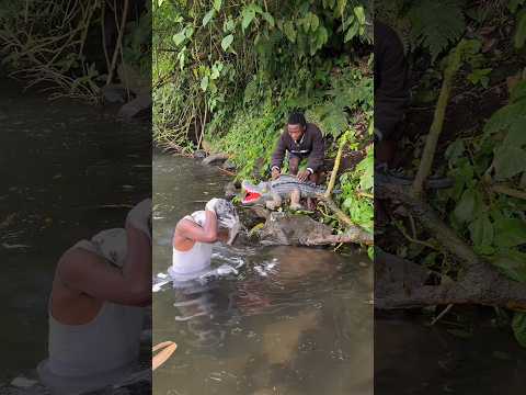 fake crocodile #funny #comedy