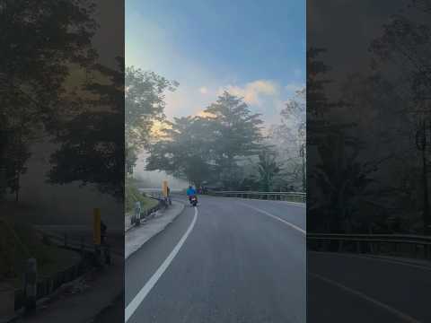 paisagem envolta: a névoa bela retorna e encanta
