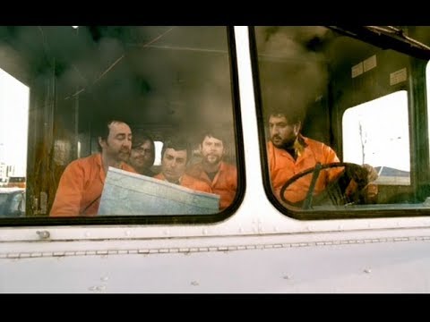 The Shins - Australia [OFFICIAL VIDEO]