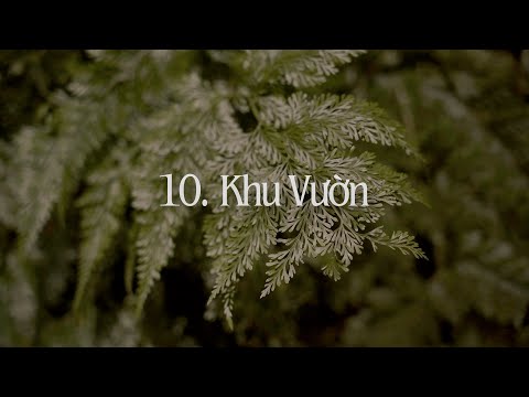 Vũ Thanh Vân - Khu Vườn (Official Lyric Video) | Album "Cuộc Đào Tẩu Của Vũ Thanh Vân"