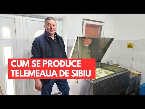 Adevărata telemea de Sibiu din ferma familiei Dragomir