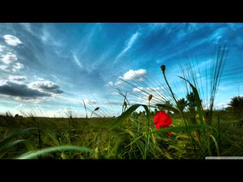 Activa Pres. Solar Movement - Indigo