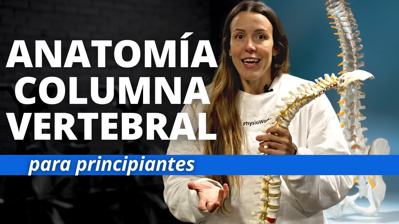 Aprende la Anatomía Básica de la Columna Vertebral en 10 minutos - Tutorial Anatomía