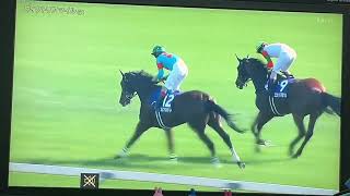 【競馬実況動画2026】 第21回ヴィクトリアマイル  エンブロイダリー（クリストフ・ルメール）