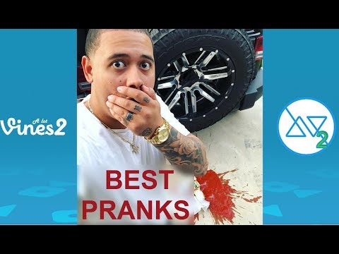 Meghan Mccarthy All Vines