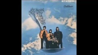 Sky Saxon Blues Band - Plain Spoken