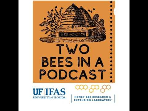 The Buzz on Honey: Uncovering the Diverse World of Apian Nectars