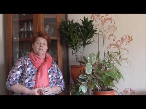 Allergia tapasztalatok