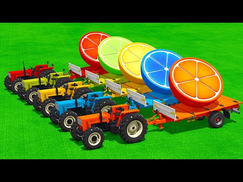 LOAD AND TRANSPORT GIANT ORANGE SLICES WITH FIAT TRACTORS & FORKLIFTS - Farming Simulator 25