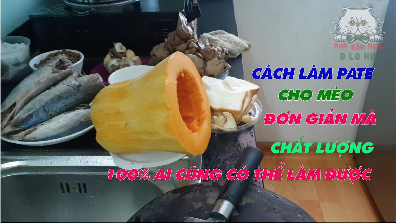 Làm Pate Tươi Cho Mèo Ai Cũng Làm Được | Cách Làm Pate Cho Mèo Đơn Giản 100%|Dlohu Channel