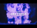 DESH - Osztriga (LAWME Remix)