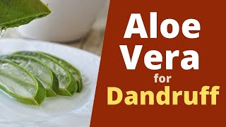 Is Aloe Vera Gel Good for Dandruff?