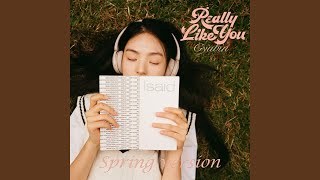 Download lagu Really Like You (English) (Spring Version) mp3 Download lagu Really Like You (English) (Spring Version) mp3