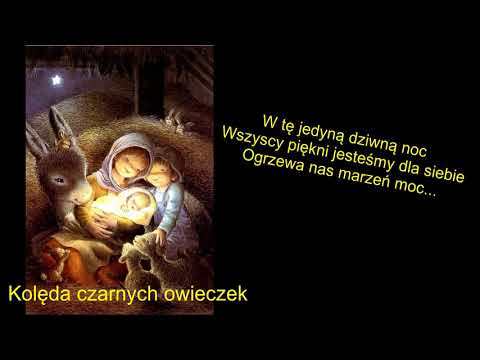 Buzu Squat - Kolęda czarnych owieczek ⭐