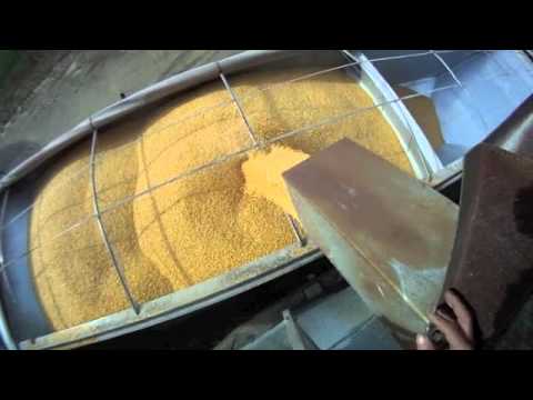 Loading Semi Hopper Bottom with Corn and Hauling to Ethanol Plant 