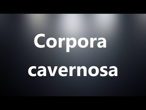 Corpora cavernosa - Medical Meaning and Pronunciation