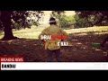 Sarso Ke Safiya Taja Song Bhojpuri