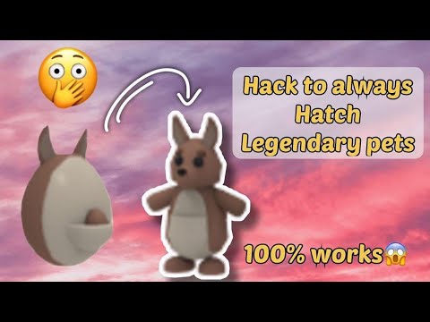 HATCHING AN AUSSIE EGG | HOW TO ALWAYS HATCH LEGENDARY PETS | 100% WORKING