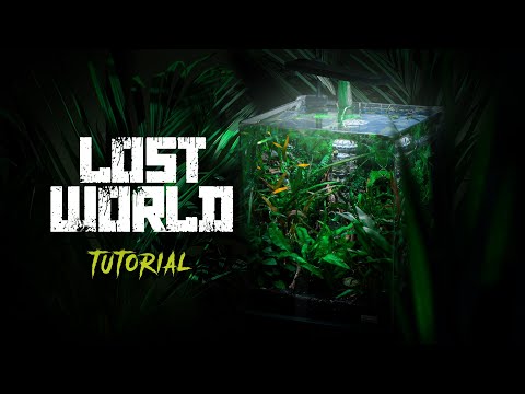 Natural Betta Fish Tank Setup | LOST WORLD | Aquascape Tutorial