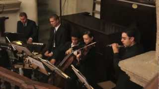 For the love of a Princess from "Braveheart - James Horner (Orquestra com Percussão)