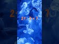 #divide 21 : 3 #shorts