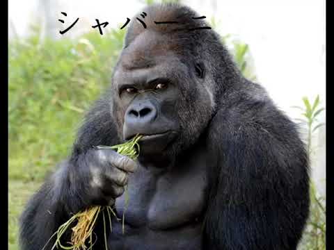 愛知県とは！？