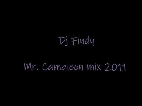 Mr. Camaleon mix 2011 Dj Findy