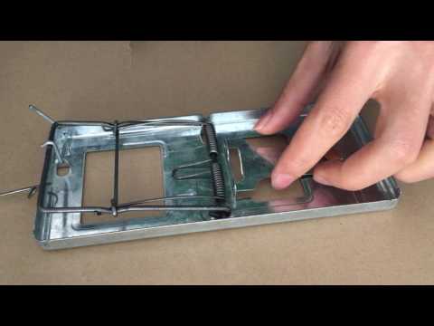metal rat trap use