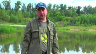 Фидер на платнике