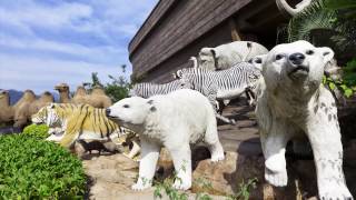 Could All Of The Animals Fit On Noah's Ark? | David Rives