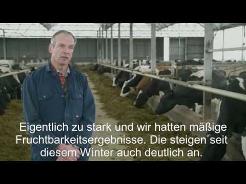 Familien Bos (Zevenhoven ) hat eine sorglose Transitionsphase