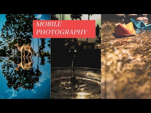 Mobile Photography Nature ,outdoor and indoor . Lockdown 2.0 . #2021 . Sunday Notebook   .