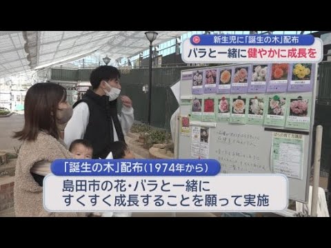 YouTube Video 「優しい子に育ってほしい」　新生児４８５人にバラの苗木「誕生の木」を配布　静岡・島田市