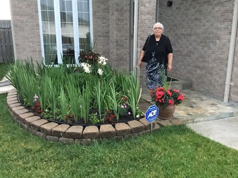 Stela Andrica  - Slide Show