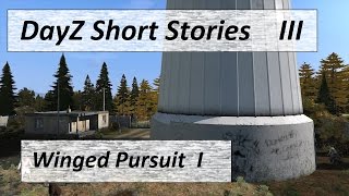 DayZ Short Stories: III, Winged Pursuit Part One