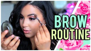 Everyday Eyebrow Routine! Quick & Easy!