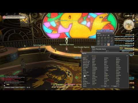 FFXIV - Race Chocobo Registration (Golden Saucer)
