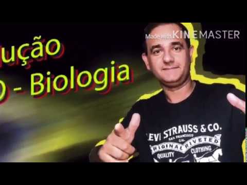 QUESTAO 03 UFGD 2018