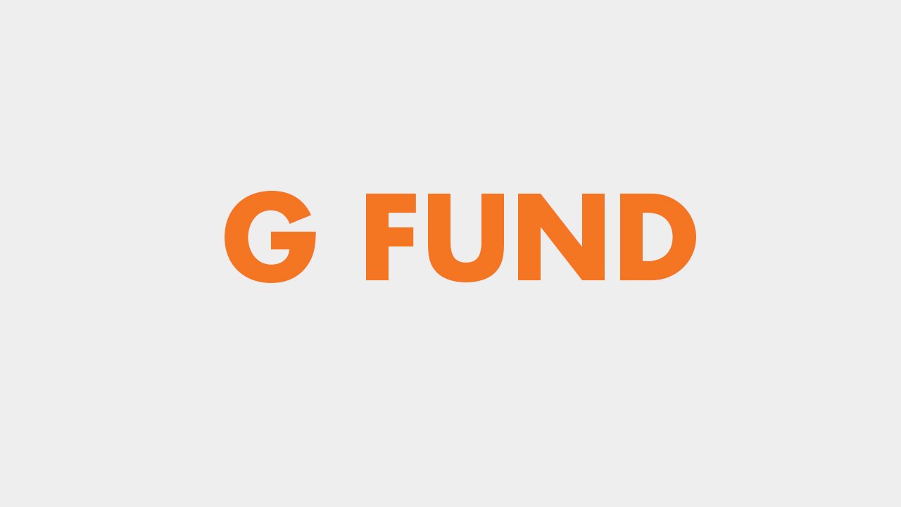 Your TSP Investment Options: The G Fund