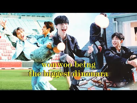 6 mins of wonwoo being whipped for dino