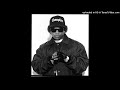 EazyE Real Muthaphuckkin Gs