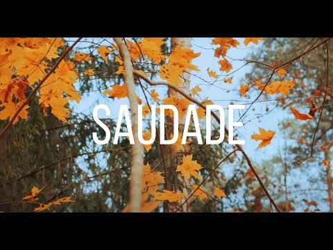 Saudade - Regina Mota